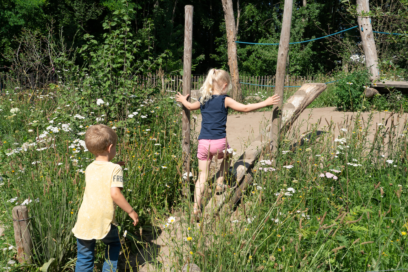 spelende kinderen