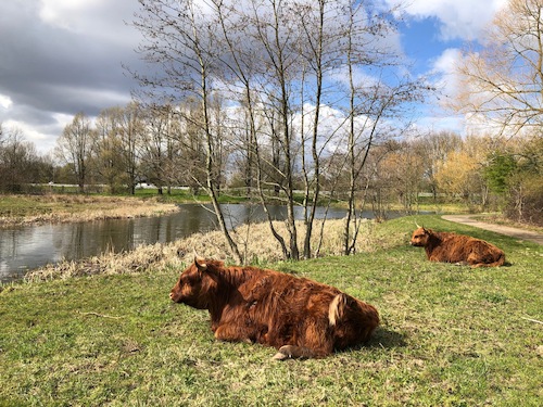 overkamppark